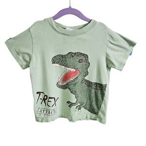 Big Fish Kids Size 4T T-Rex Attack Graphic Tee Shirt Sage Green Dinosaur Cotton